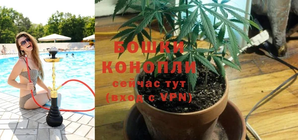 мескалин Богородицк