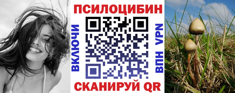 Псилоцибиновые грибы мицелий  Орск 