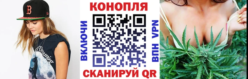 Шишки марихуана планчик  Орск 